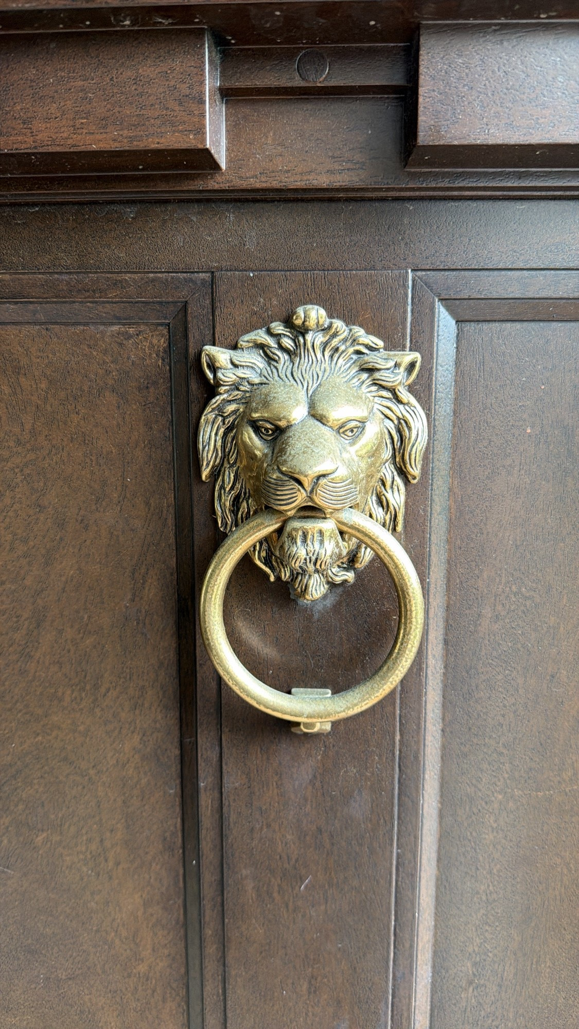 This lion door knocker has been a best seller in my LTK shop. It updates any space and gives it French flair, gold, entry, outdoors, hardware.

#LTKSaleAlert #LTKHome