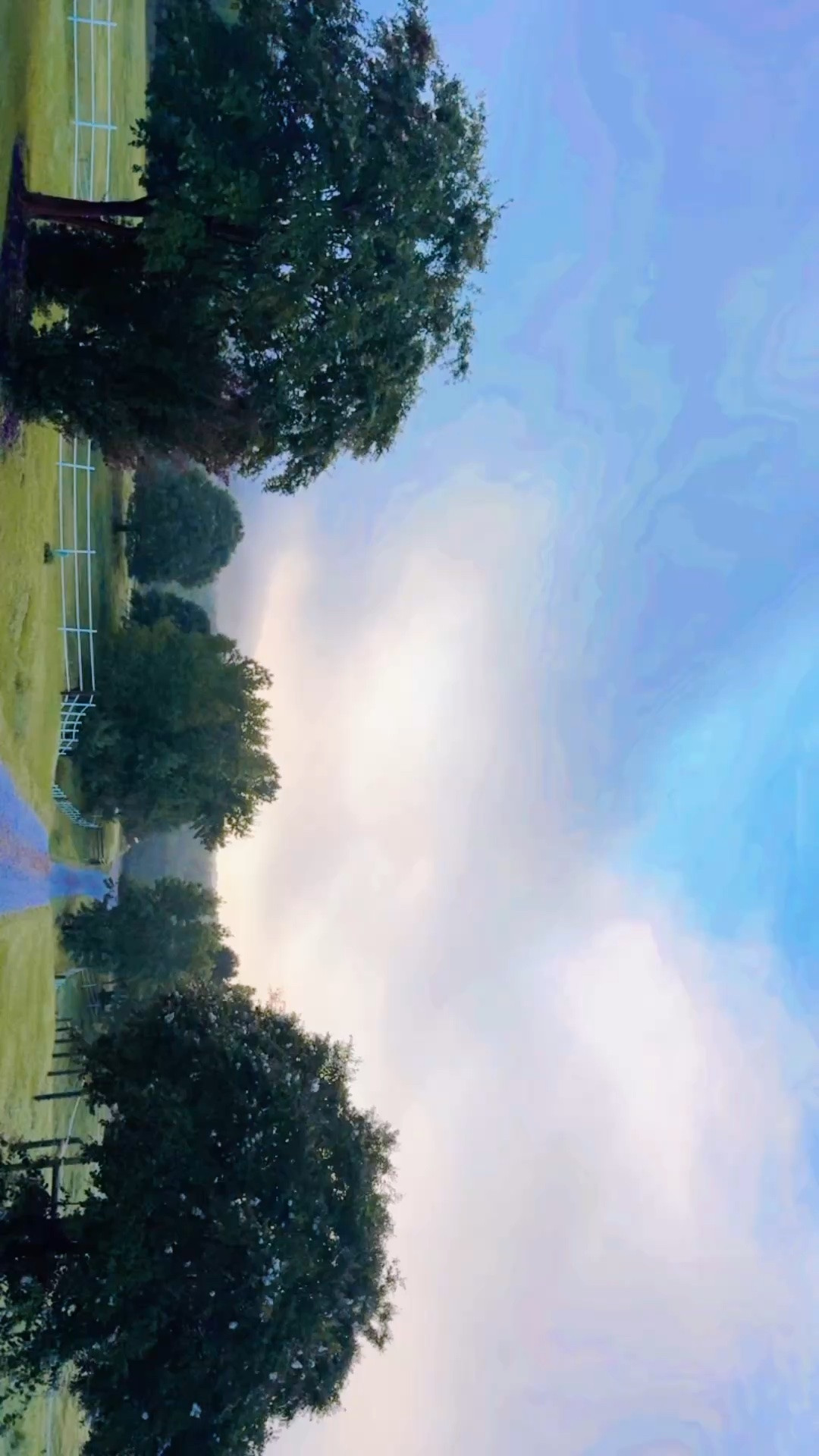 Morning running views >>>