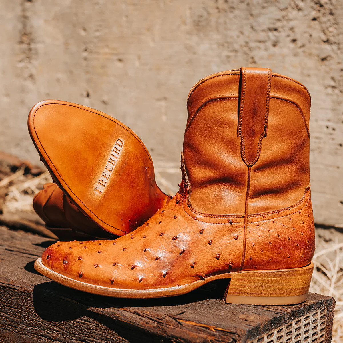 FREEBIRD STORES - DESPERADO | Freebird Stores