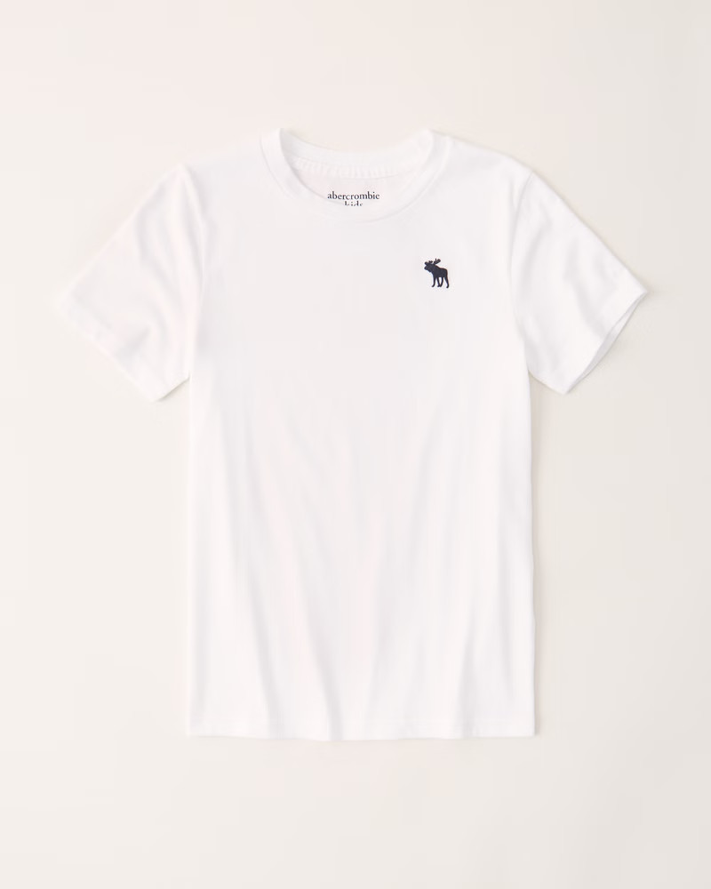 icon crew tee | Abercrombie & Fitch (US)