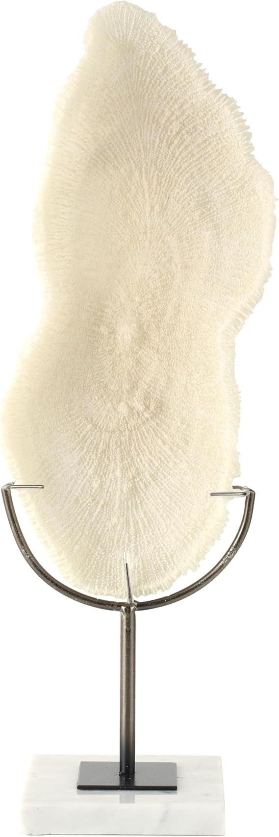 Deco 79 Polystone Coral Decorative Sculpture Abstract Textured Home Decor Statue with Gray Stand ... | Amazon (US)