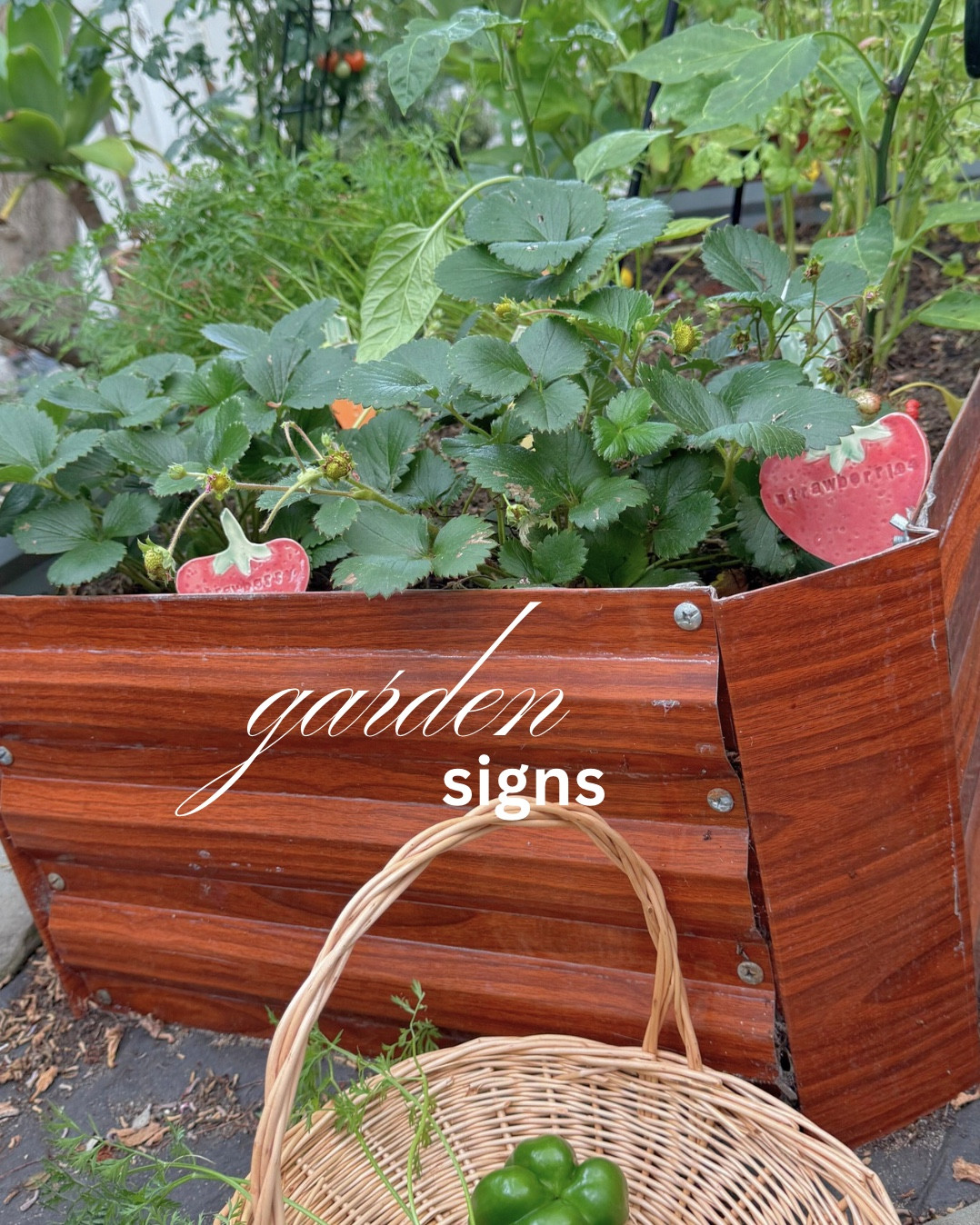 the perfect last touch to our little garden! ceramic, so they won’t rust or rot! sweetest seller on Etsy :) tell her I sent you!