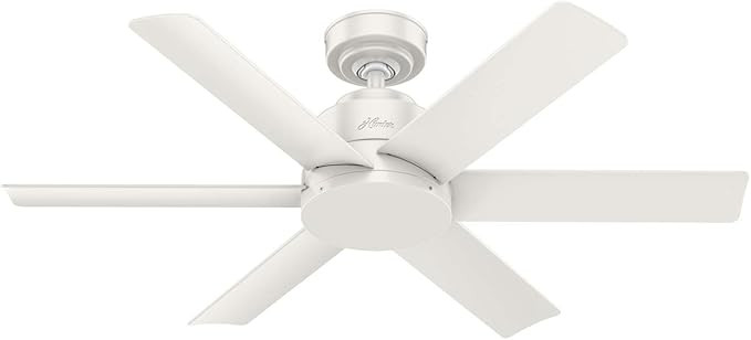 Hunter Fan Company 59614 Hunter Kennicott Indoor, Outdoor Ceiling Fan with Wall Control, 44, Fres... | Amazon (US)
