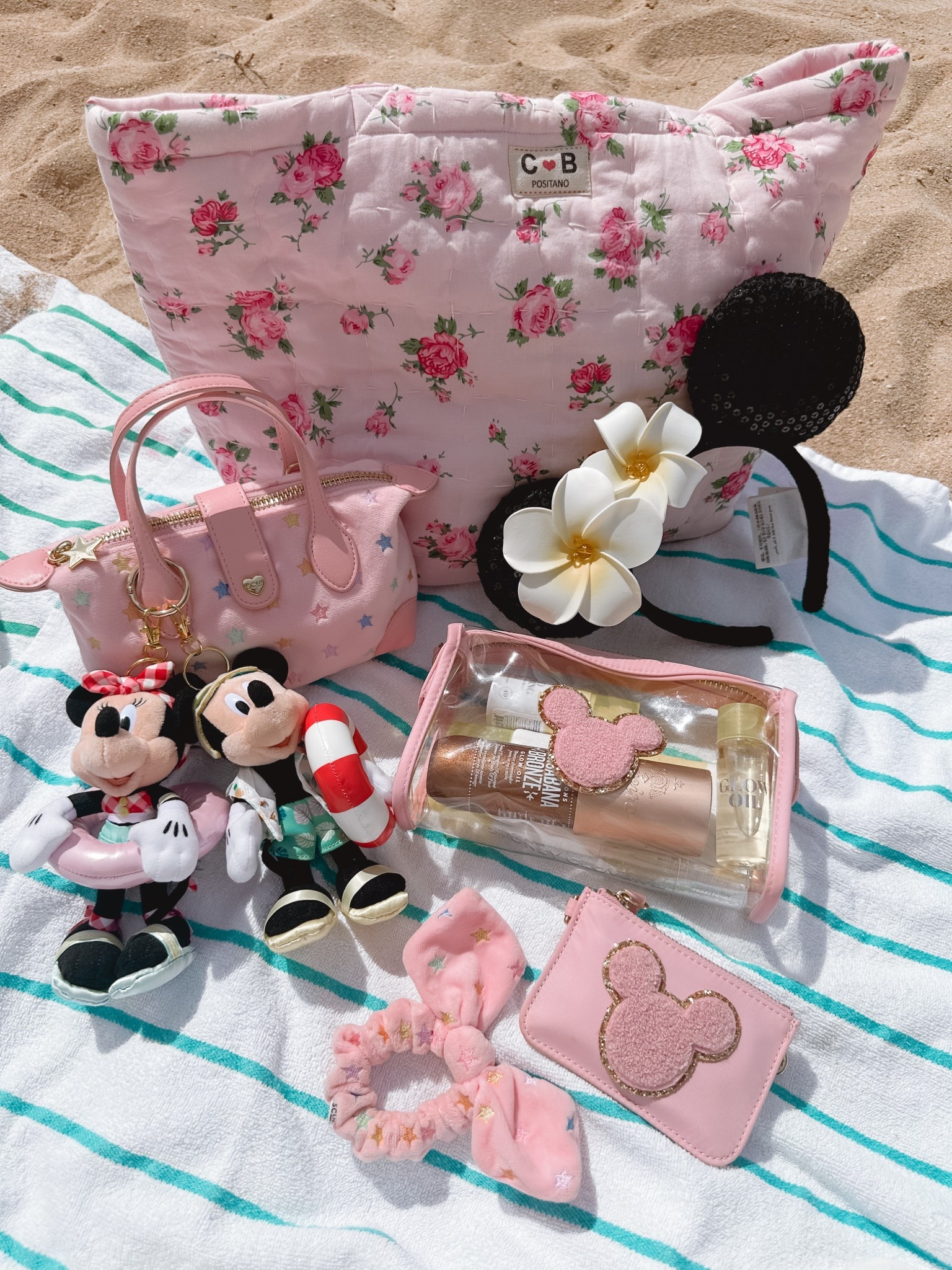 bag charms- tokyo disney
ears- aulani
tote- cb positano