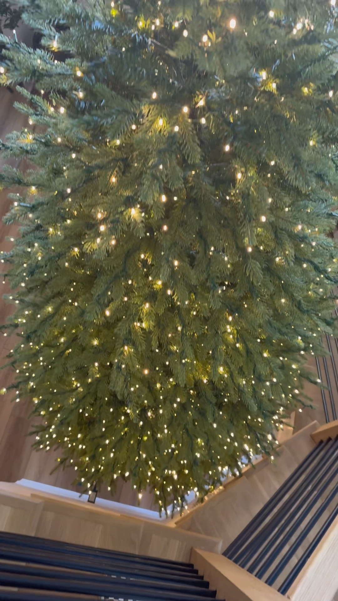 I HAD TO, ok!?! 🥹🙈🎄 I waited forever for this tree and a staircase to put it up by — & mama Amy being in town was perfect! This is the 12 foot Home Depot Grand Duchess viral twinkle tree✨ & she is GORG!!!! 

I plan to compare this one to a couple others this season so stay tuned in the coming weeks! LOVE HER! 🤎 I won’t decorate till after Halloween now 🤣 

Christmas decor / home decor / seasonal / trending now / holidays / Holley Gabrielle  

#LTKVideo #LTKSeasonal #LTKHoliday