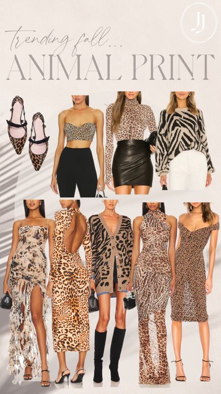 Animal print dress
Leopard sweater
Fall trends 

#LTKSeasonal #LTKtravel #LTKover40