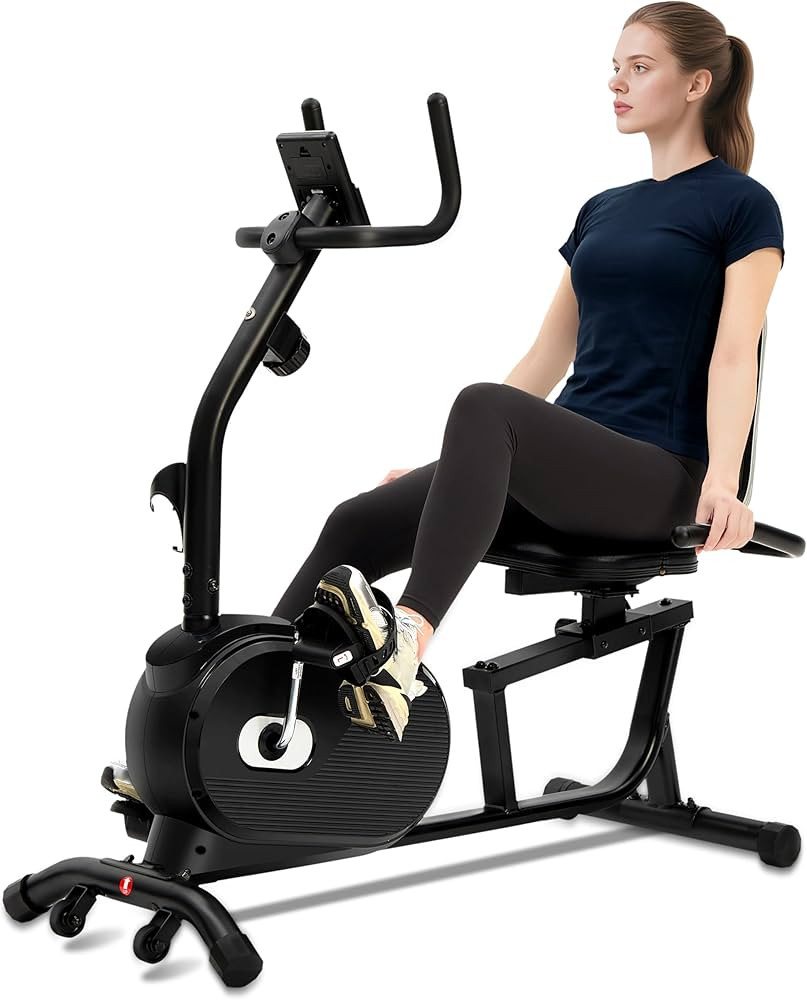 ECHANFIT Recumbent Exercise Bike for Home - 380LBS Weight Capacity, Exercise Bike with Smart Work... | Amazon (US)