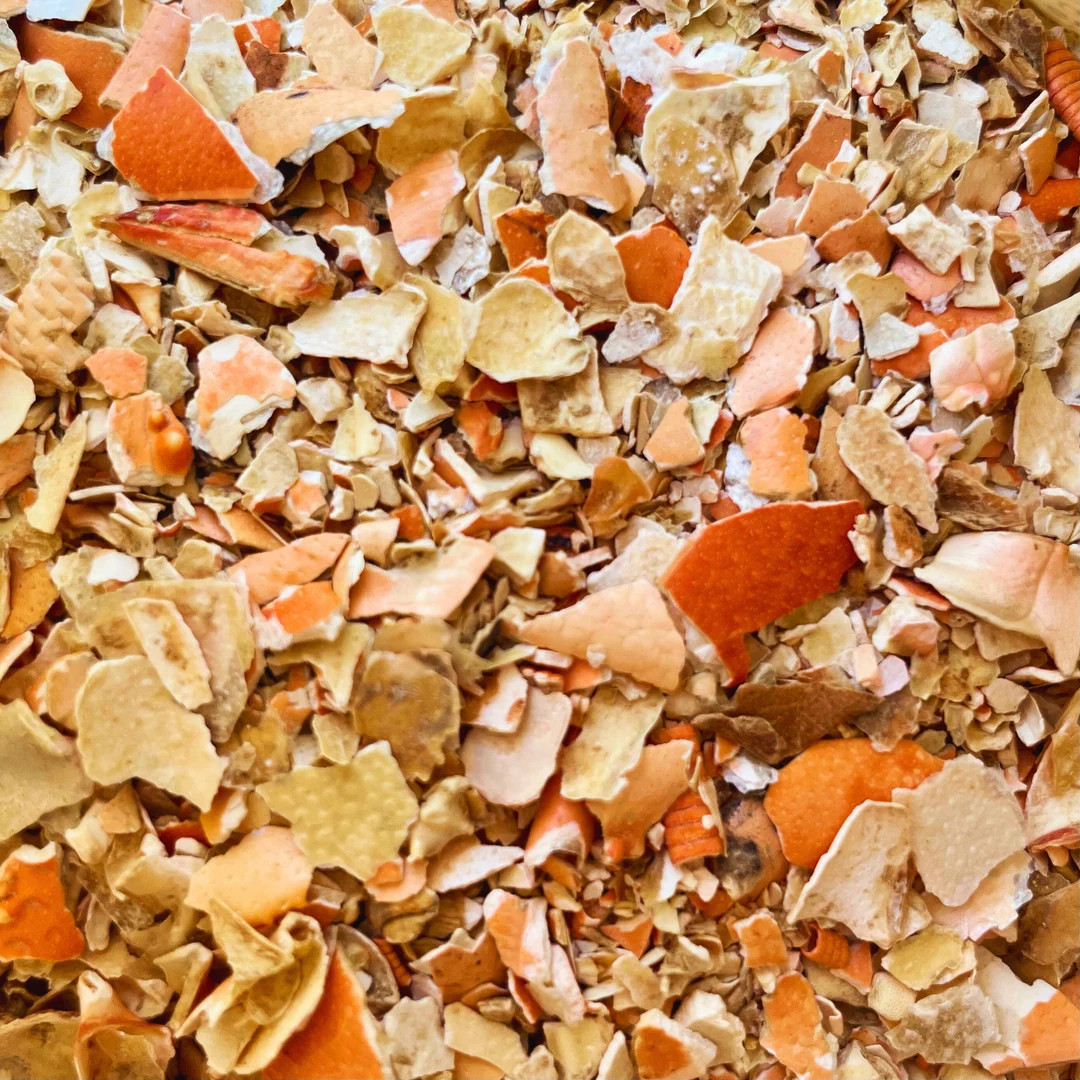 Lobster & Crab Shell | Hermit Crab Food - Etsy | Etsy (US)