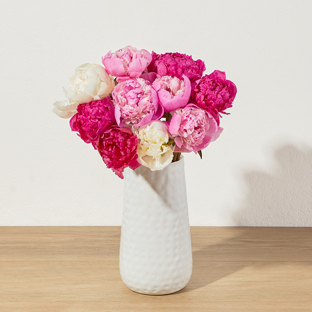 Farmer's Choice Peonies - The Bouqs Co. | The Bouqs Co.