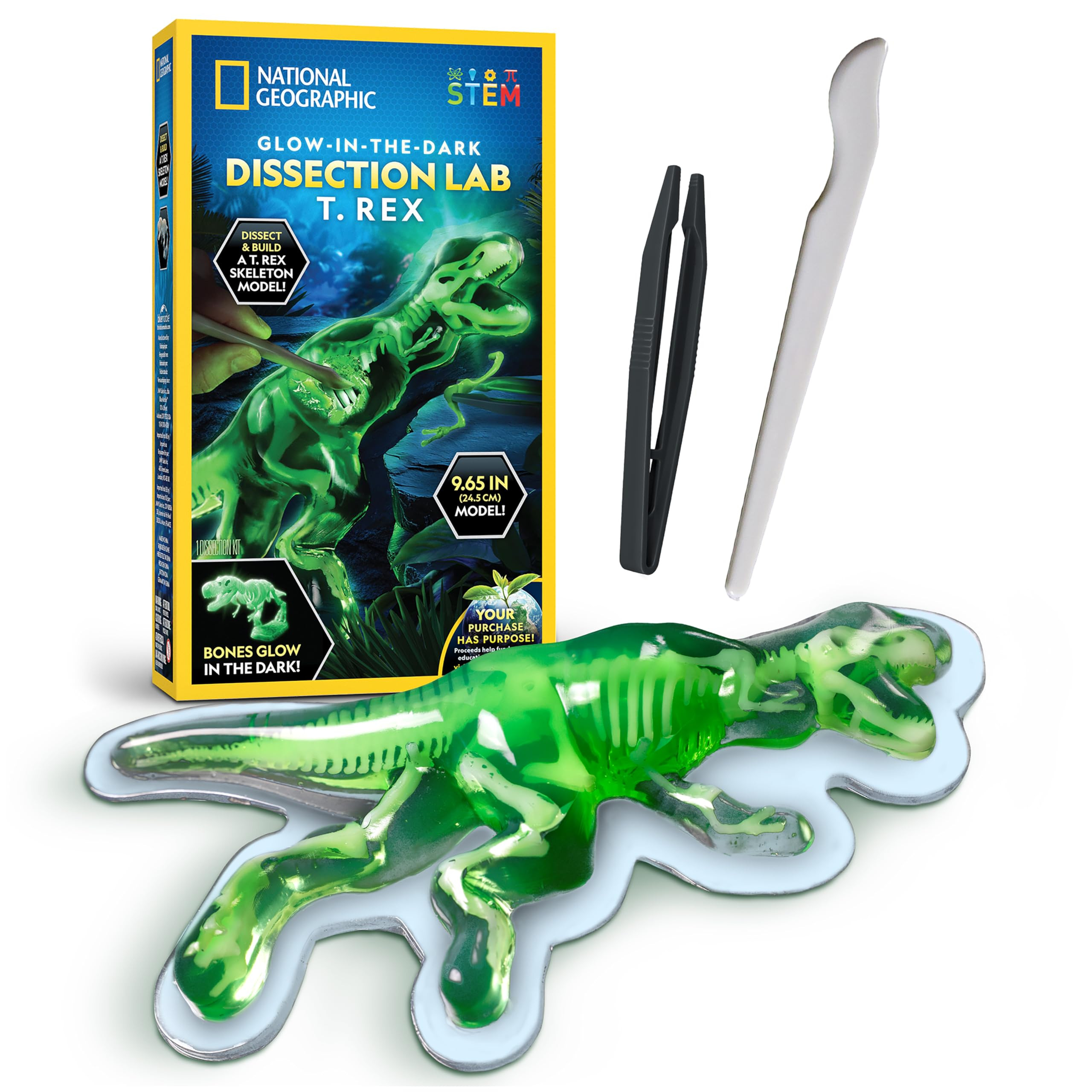 National Geographic Glow-in-The-Dark T. Rex Dissection Lab – Dissect a Synthetic Dinosaur, Buil... | Amazon (US)