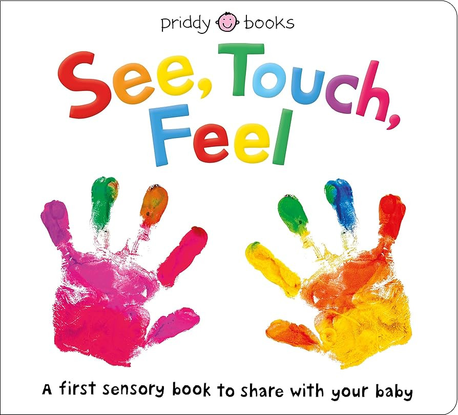 See, Touch, Feel: A First Sensory Book | Amazon (US)