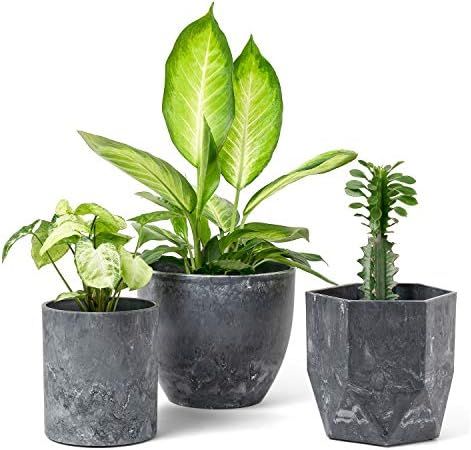 Amazon.com : Dahey Resin Flower Pots with Drinage Indoor Plant Pots Outdoor Graden Planter, 3 Dif... | Amazon (US)