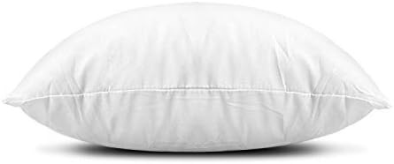 Amazon.com: EDOW Throw Pillow Inserts, Set of 2 Lightweight Down Alternative Polyester Pillow, Co... | Amazon (US)