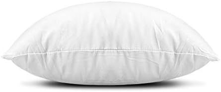 Amazon.com: EDOW Throw Pillow Inserts, Set of 2 Lightweight Down Alternative Polyester Pillow, Co... | Amazon (US)