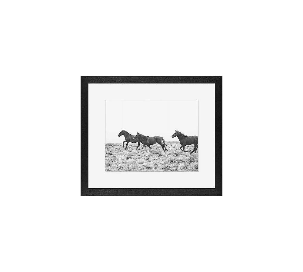 American Wild Horses by Jennifer Meyers | Pottery Barn (US)