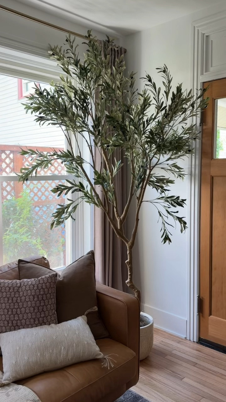 I LOVE my 8 foot faux (but looks so real!) olive tree from Amazon - every corner could use some greenery! 

#Amazonhome
#Airbnb