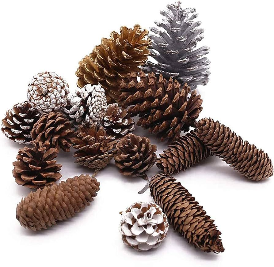JOHOUSE Natural Pine Cones, 17PCS Holiday Party Favor Home Decor Pine Cones for Crafts Home Decor... | Amazon (US)