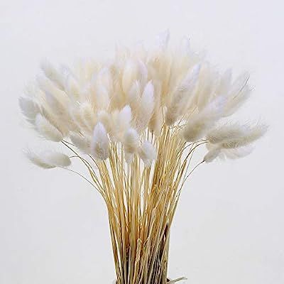 XYXCMOR Dried Grass Bouquet 120 pcs Natural Foxtail Rabbit Tail Grass Lagurus Ovatus Bunny Tails ... | Amazon (US)