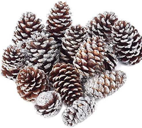 Factory Direct Craft Package of Assorted Size Silver Glitter Natural Pinecones | Amazon (US)