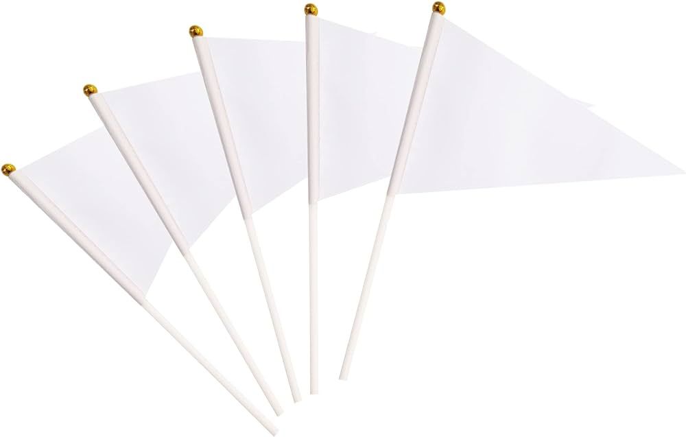 25 Pack White Pennant Flags Small Mini Hand Held Solid Color Pennant DIY Graffiti Flags On Sticks... | Amazon (US)