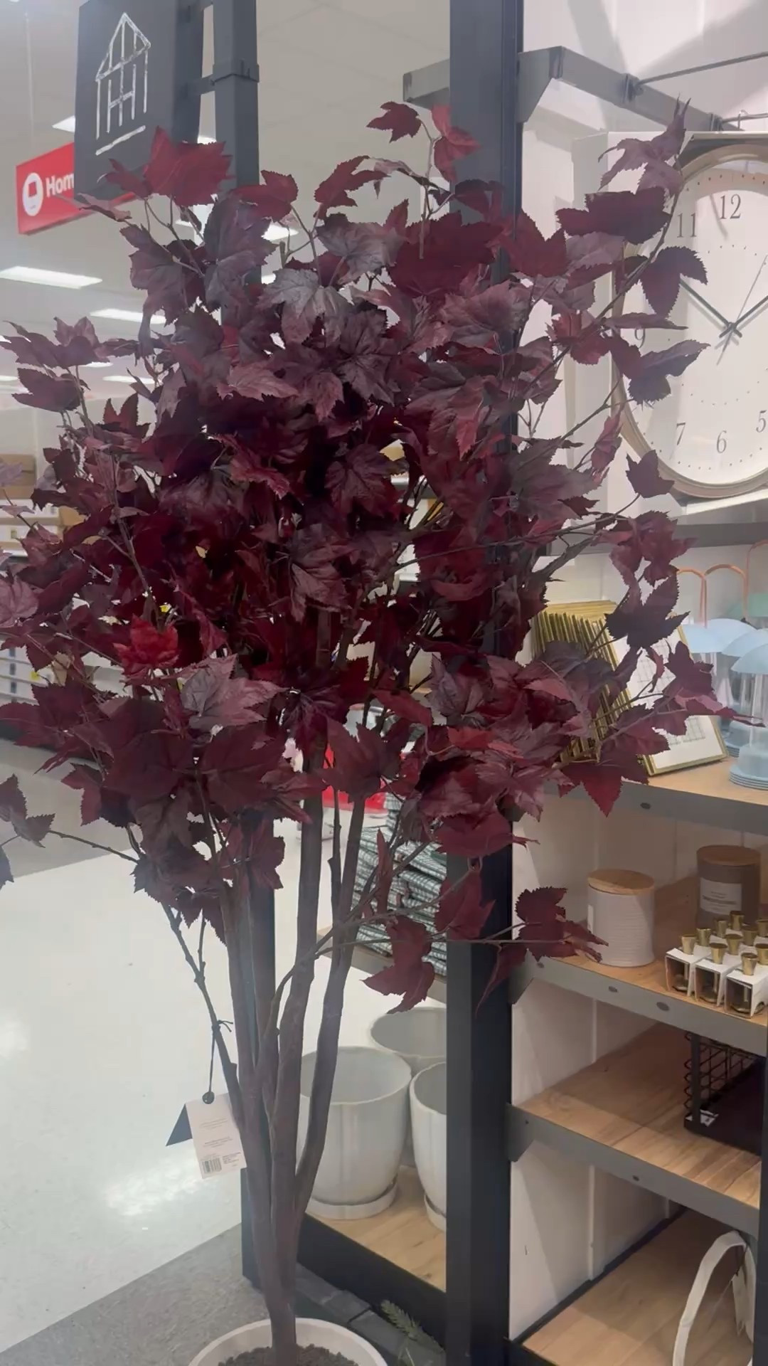 Pretty legit! 

Fall decor, stems, target, hearth and hand 

#LTKSeasonal