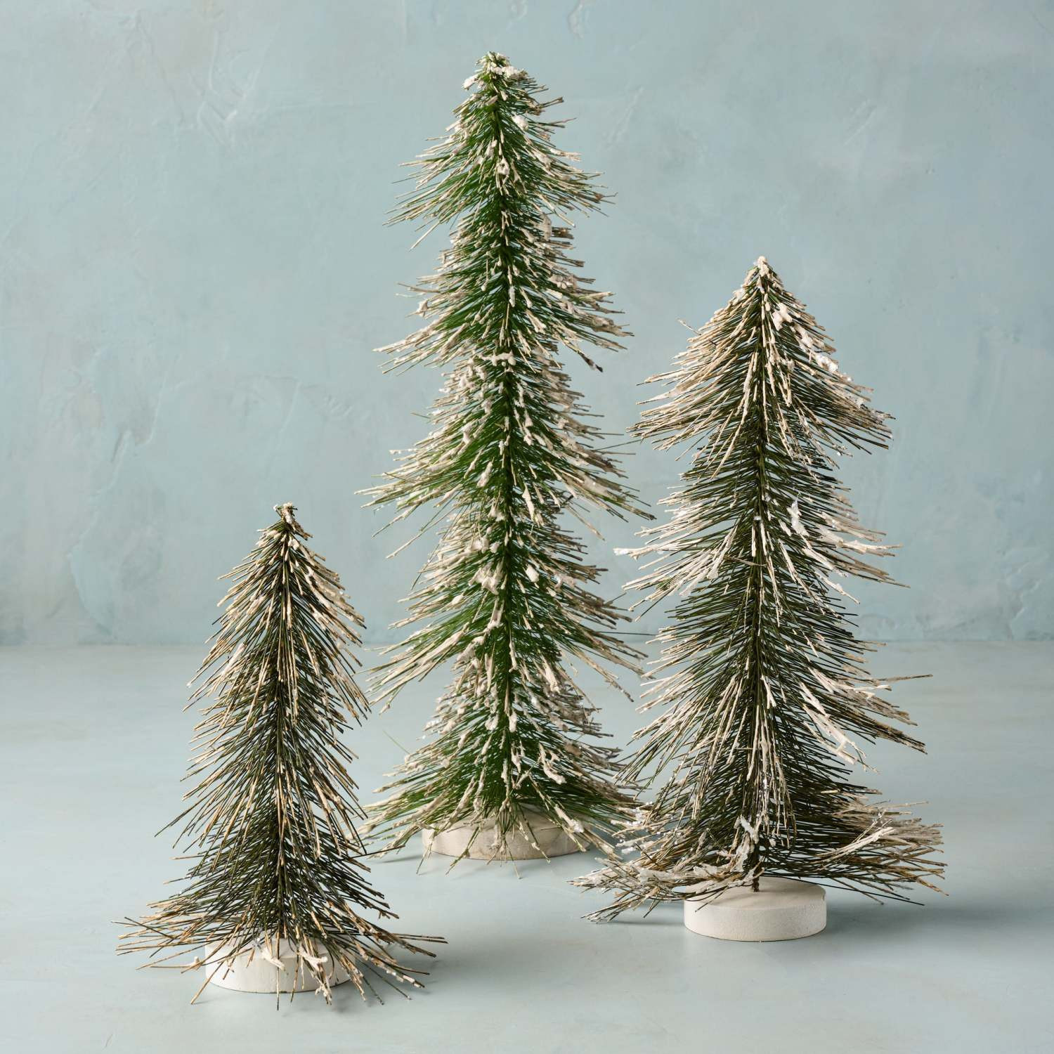 Whimsical Bottle Brush Tree | Magnolia