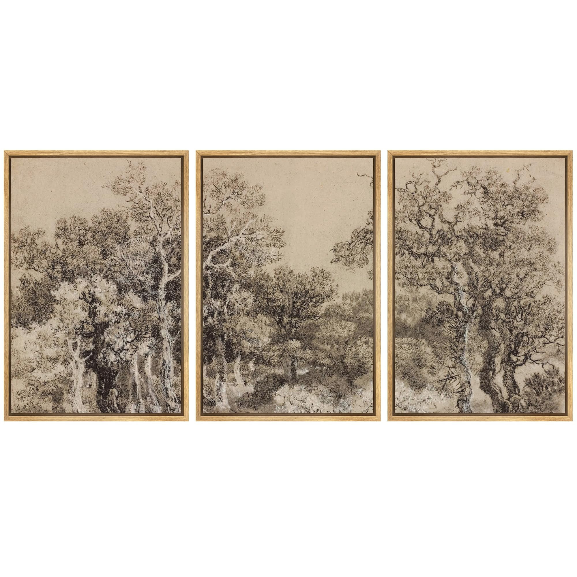 IDEA4WALL Framed Canvas Print Wall Art Set of 3 Vintage Aged Tree Ancestral Grove Illustrations N... | Walmart (US)