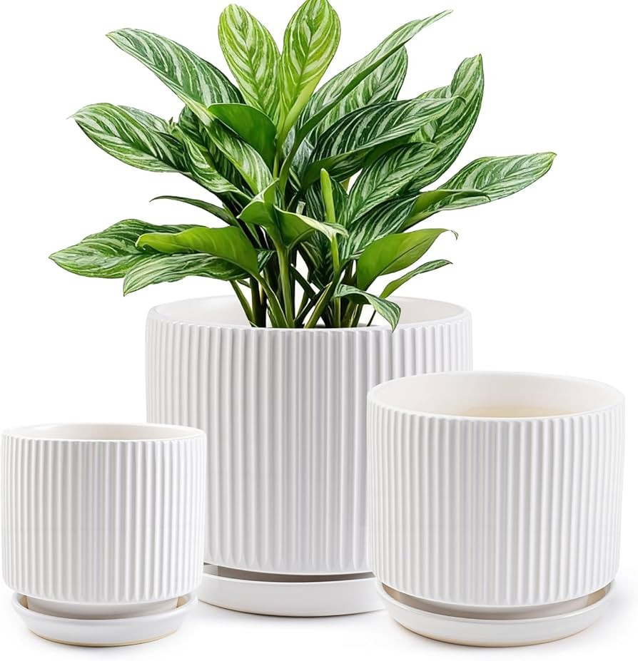 Ceramic-Flower-Pots-Sets-with-Saucer, 5/6/8 inch Small Planters for Indoor Plants with Drainage H... | Amazon (US)