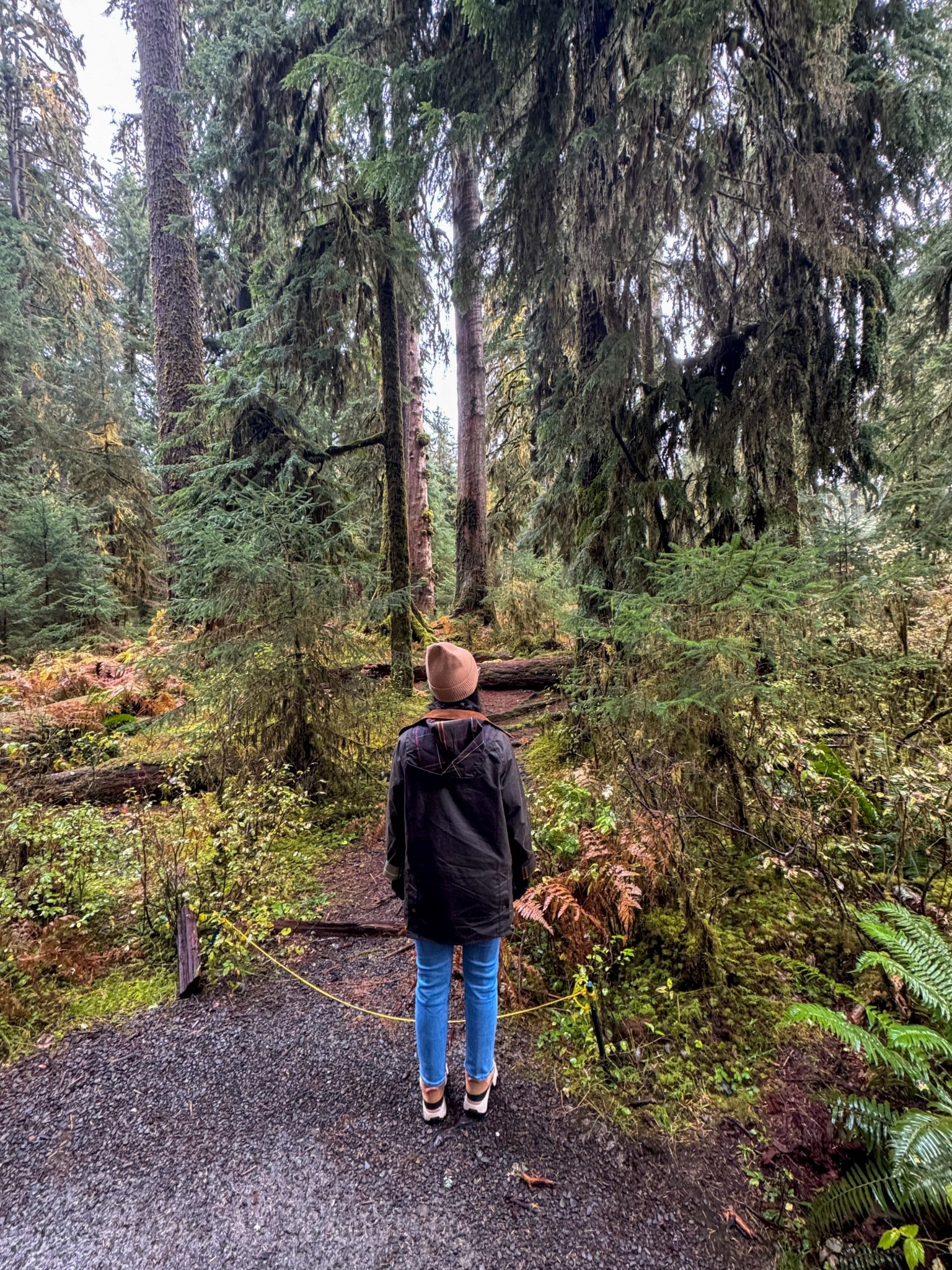 Fall in the forest of Olympic National Park! We hiked the Hoh Rainforest and it was truly magical! I am 5’6 and around 130 pounds and am wearing a size 6 in this jacket which gave me the oversized fit that I wanted. I could likely do a size 2 for a more fitted look. 

hiking outfit, Olympic National Park, hike, fall hike, Pacific Northwest, travel outfit, national parks, barbour jacket, barn jacket, fall outfit, Sorel boots, wax jacket, hiking boots, waterproof, raincoat 

#LTKSeasonal #LTKTravel #LTKStyleTip