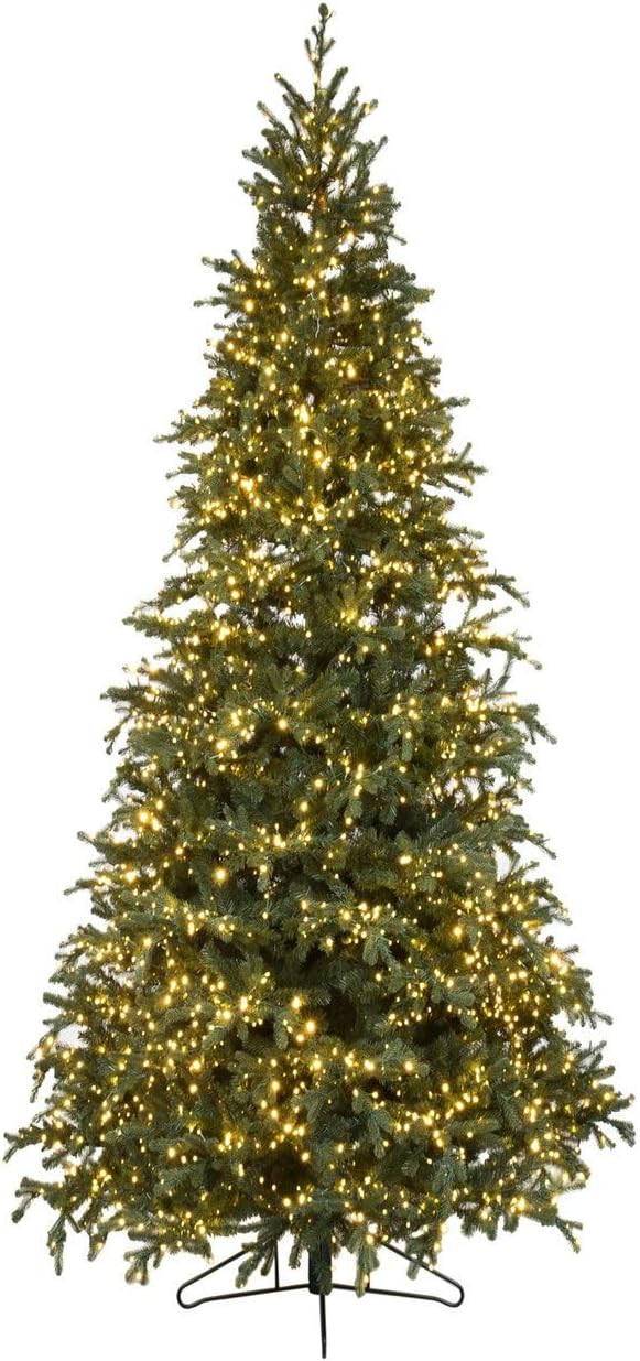 7.5' ForeverTree Slim Carolina Fraser Fir | Amazon (US)