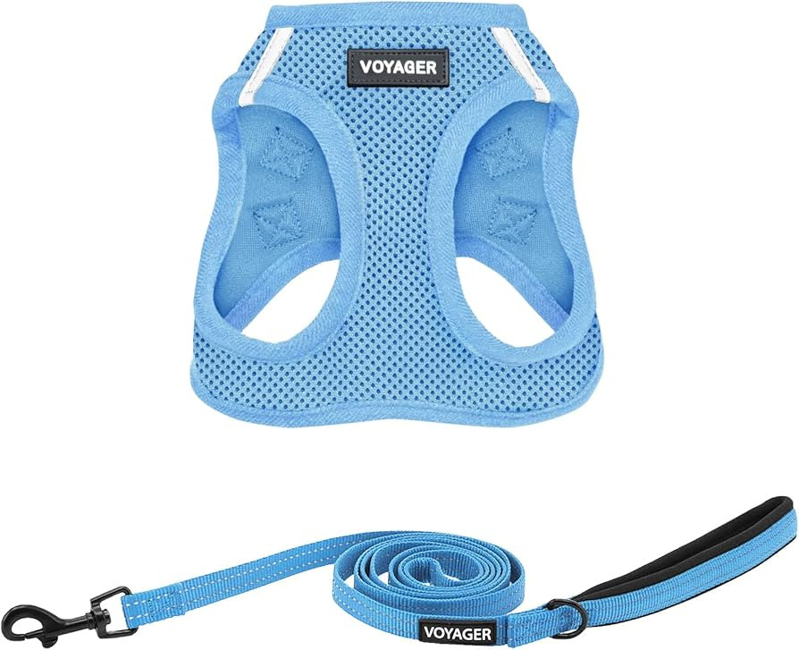 Amazon.com : Best Pet Supplies Voyager Step-in Air All Weather Mesh Harness and Reflective Dog 5f... | Amazon (US)