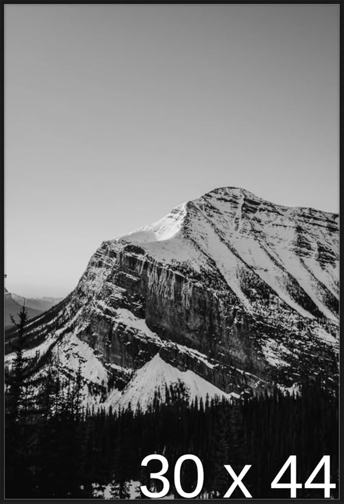 Frame It Easy 30 x 44 Satin Black Metal Frame (Ashford) | Amazon (US)