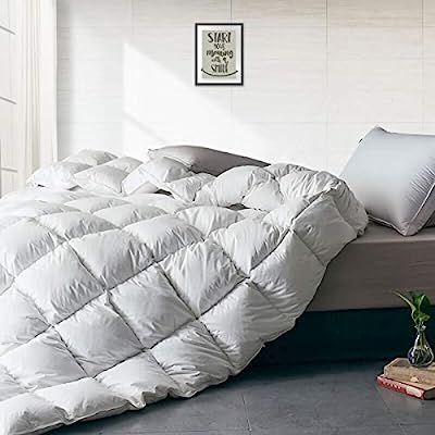 APSMILE Heavyweight European Goose Down Comforter for Winter Colder Weather/Sleeper - Ultra-Soft ... | Amazon (US)