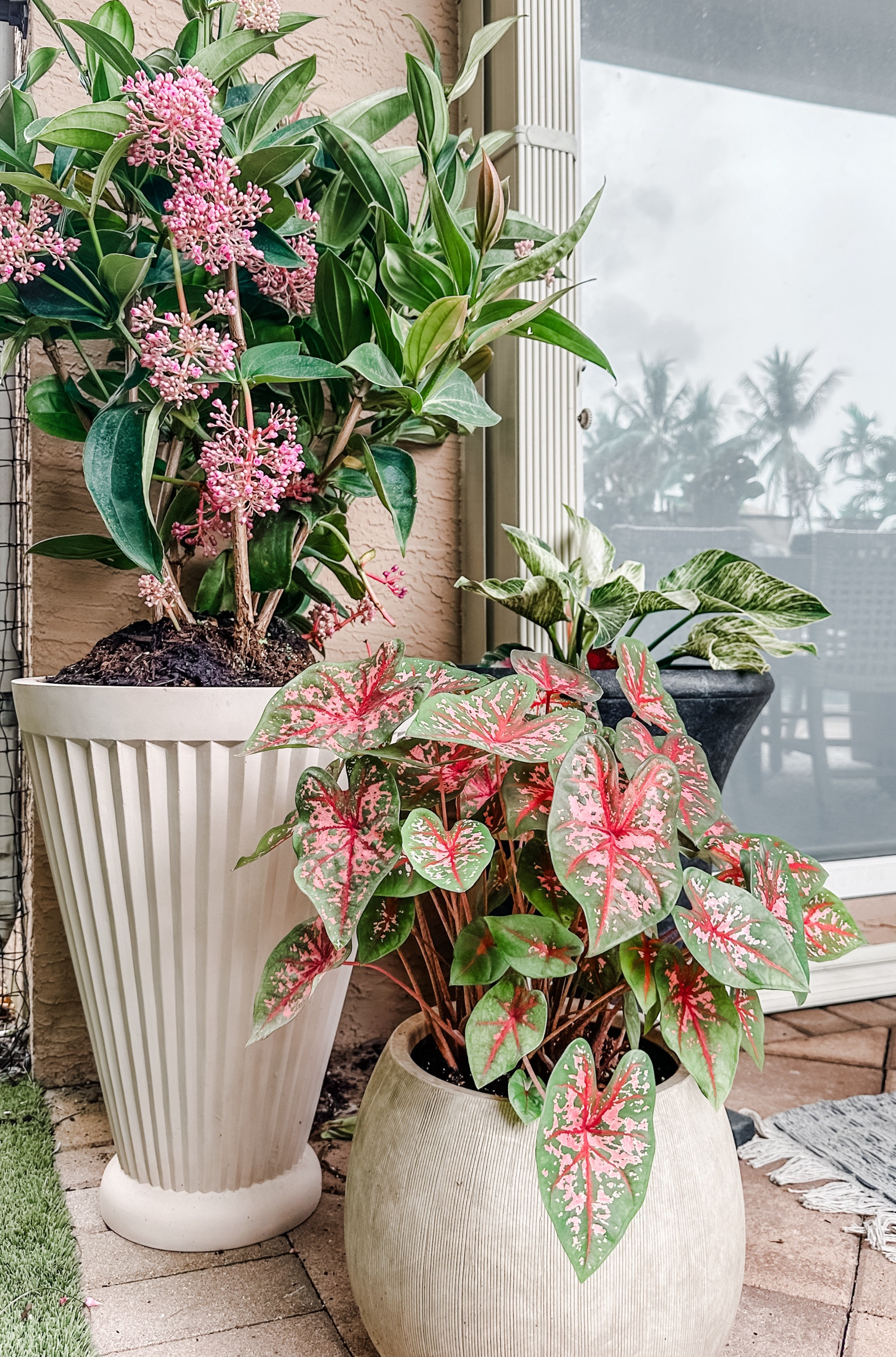 Indoor outdoor planters • white planter • fluted planter • multiple size planters • textured planter • outdoor decor • patio decor • backyard styling • 

#LTKSeasonal #LTKSummerSales #LTKHome
