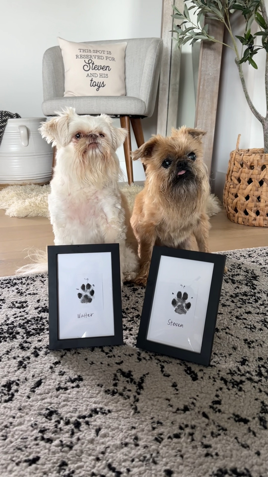Have y’all tried these mess free paw print ink pads yet?!  I found a ton on sale along with paw print molds!! 

They make THE BEST gifts for pet owners and newborns! 

These are great for pet paw prints or baby hand and feet prints!

@chewy #chewypartner 

Gift ideas, gifts for dogs, pet owner gifts, customized gifts, personalized gifts, unique gift ideas 

#LTKFamily #LTKGiftGuide #LTKBaby