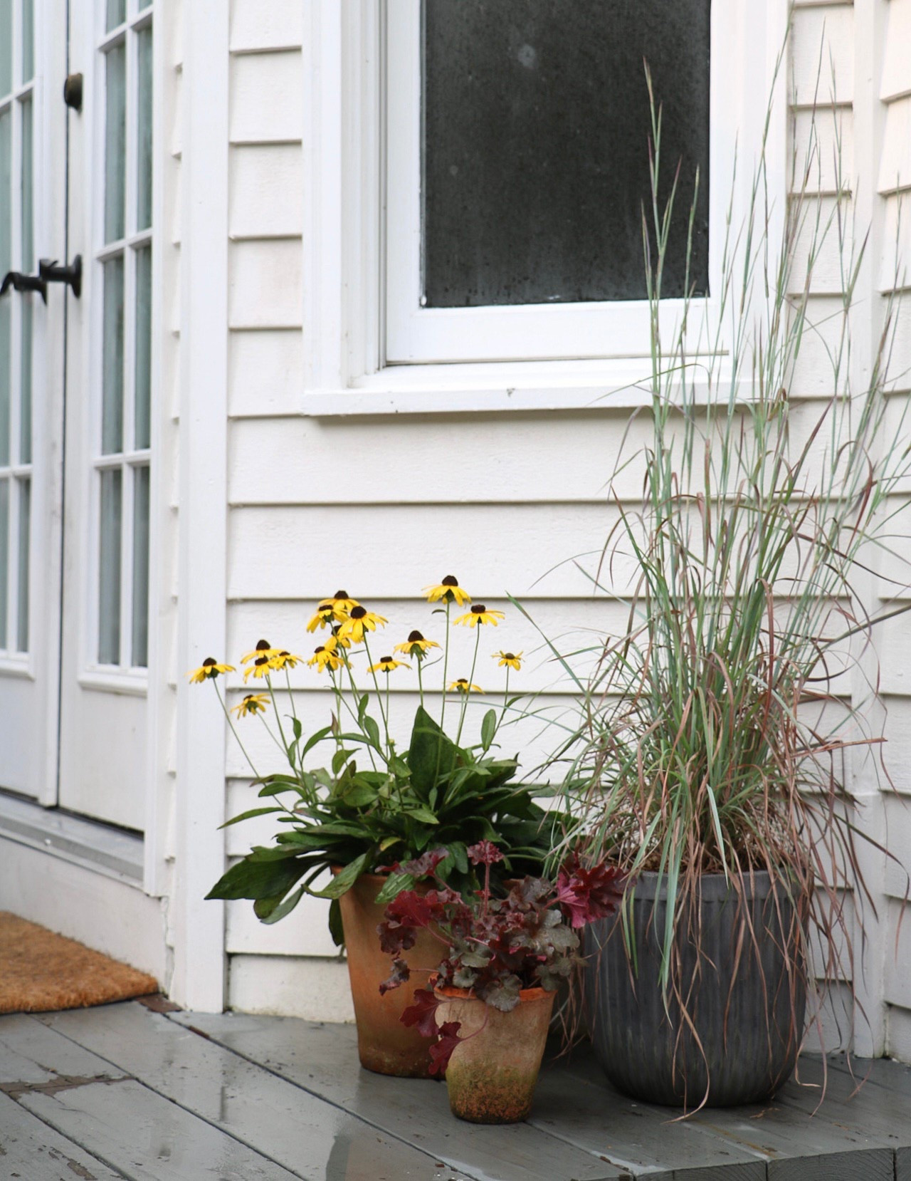 Late summer to fall planter trio

#LTKHome #LTKSeasonal