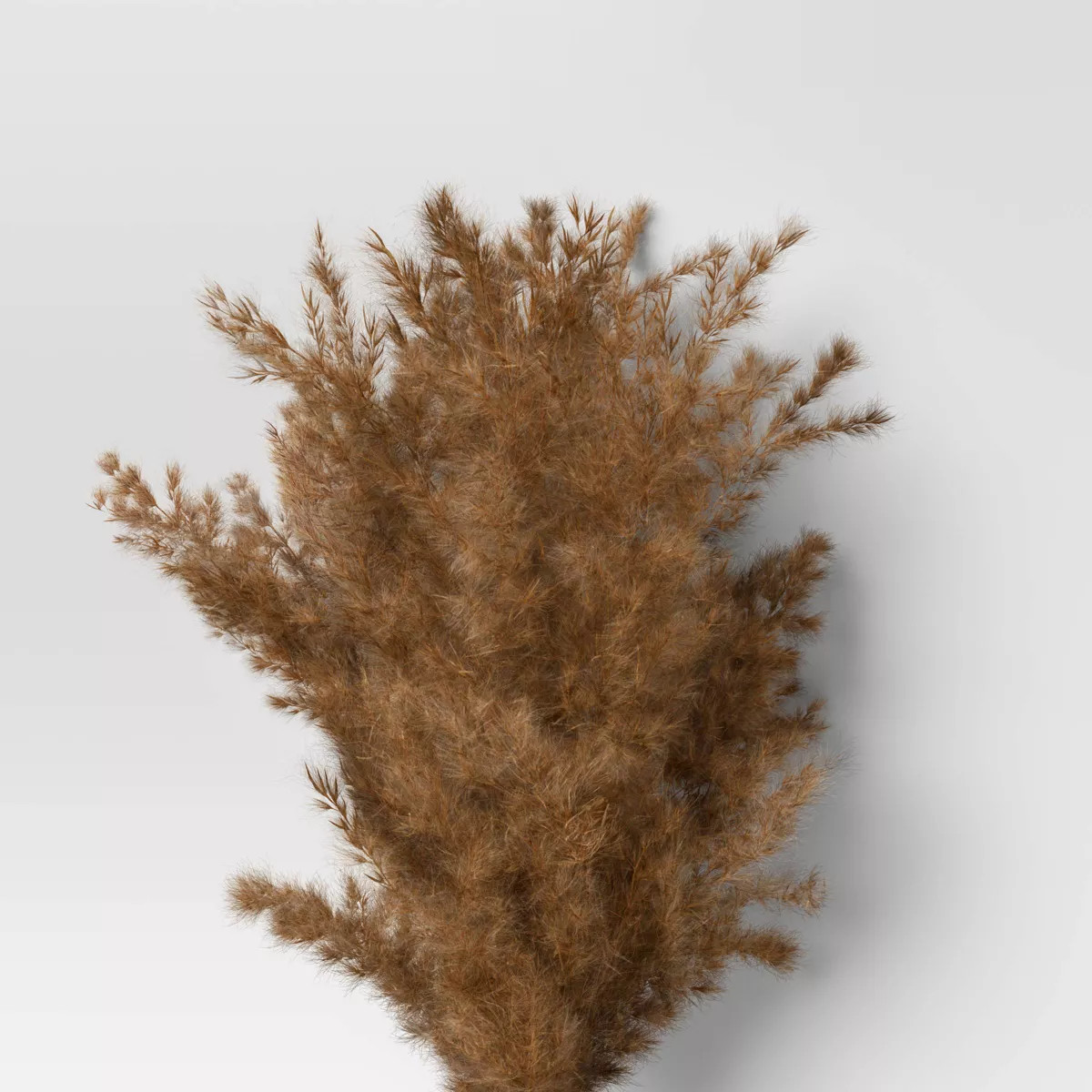 Pampas Grass Bundle - Threshold™ | Target