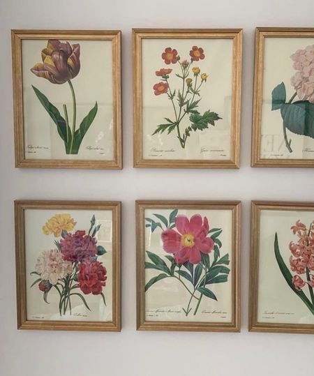 botanical prints & gold frames under $10

#LTKGiftGuide #LTKstyletip #LTKhome