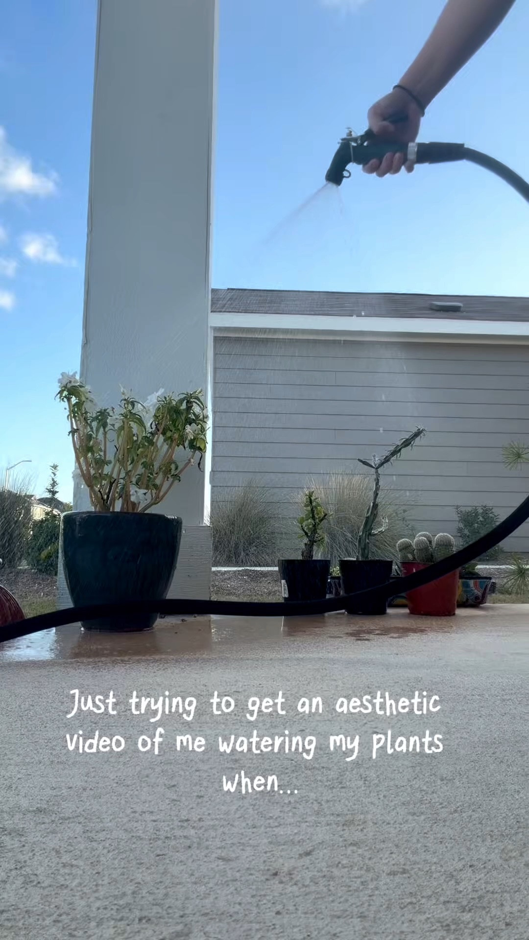 Just me watering my plants… until my 2-year-old stole the camera and became the main character. 🤣🌿

Honestly, her content is better than mine.

#LTKmomlife #LTKvlog #LTKKids