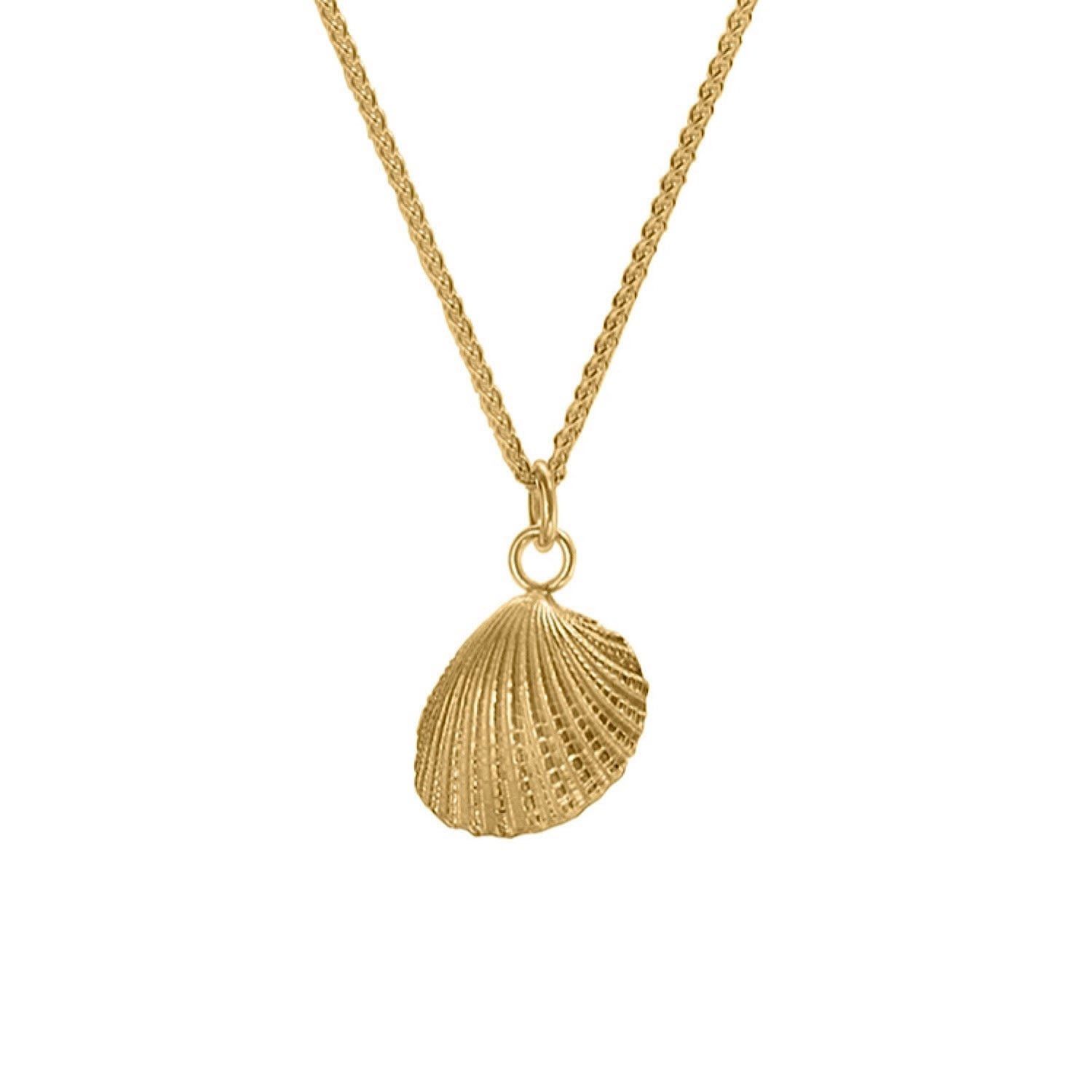 Cockle Shell Charm Necklace - Gold | Wolf & Badger (US)