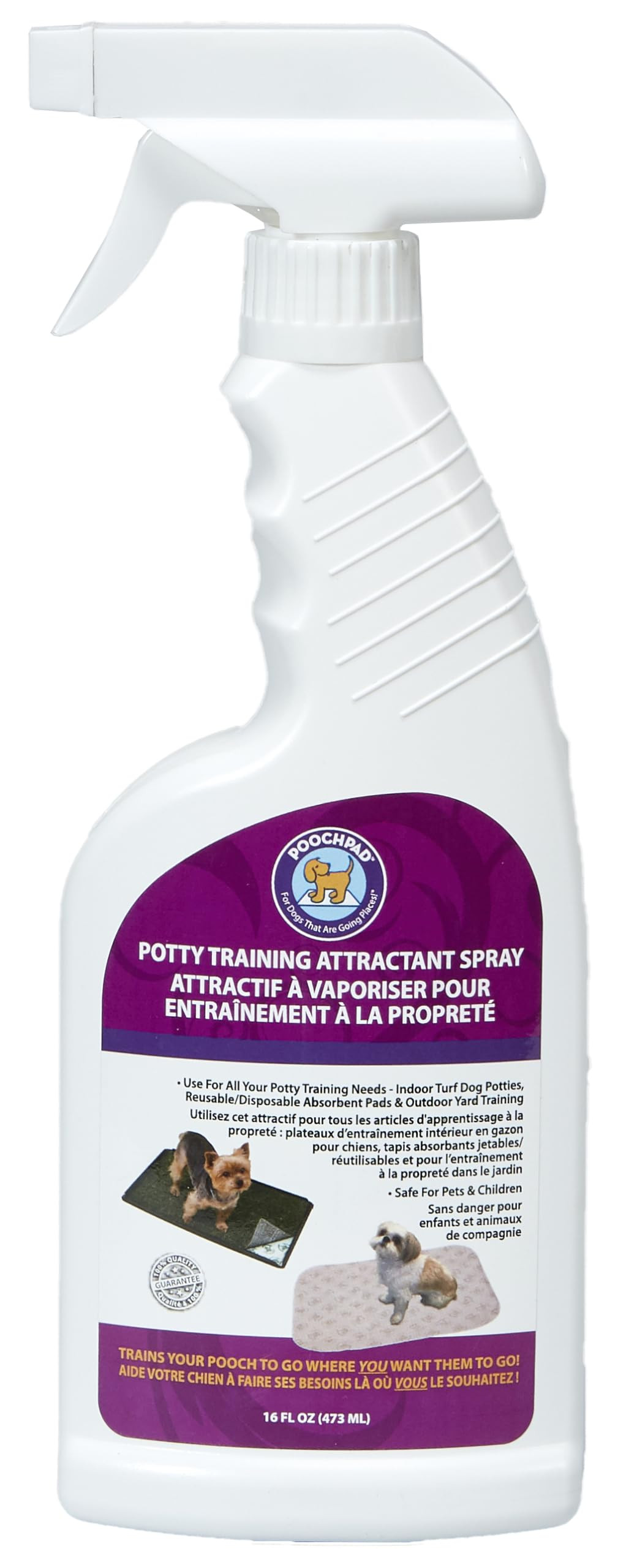 Amazon.com : PoochPad Potty Training Attractant Spray for Dogs & Puppies 16 oz, Made in USA, Indo... | Amazon (US)