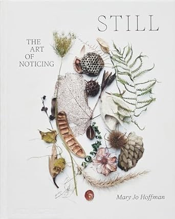 STILL: The Art of Noticing      Hardcover – May 1, 2024 | Amazon (US)