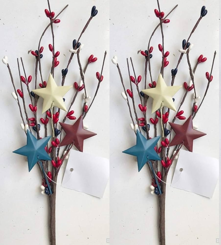 Patriotic Pip Picks with Stars | 2 Pc | 11.5 inch | Americana Décor | Amazon (US)