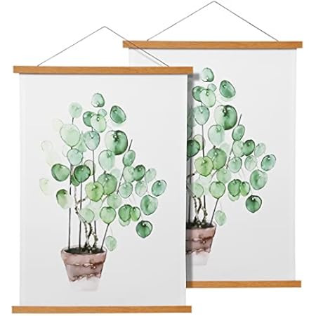 FALAMON 2 Pack Magnetic Poster Hanger Frame, 18x24 18x30 18x28 Teak Wood Magnet Poster Frame for Pos | Amazon (US)