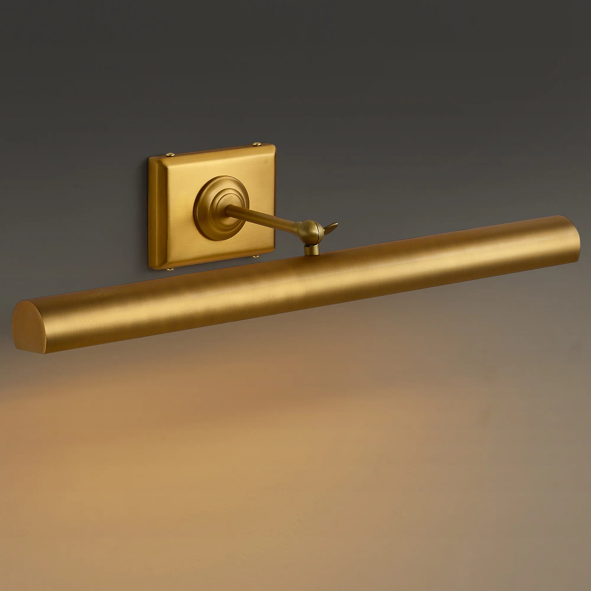 19"Mendee Dimmable Wall Mounted Picture Light | Wayfair North America