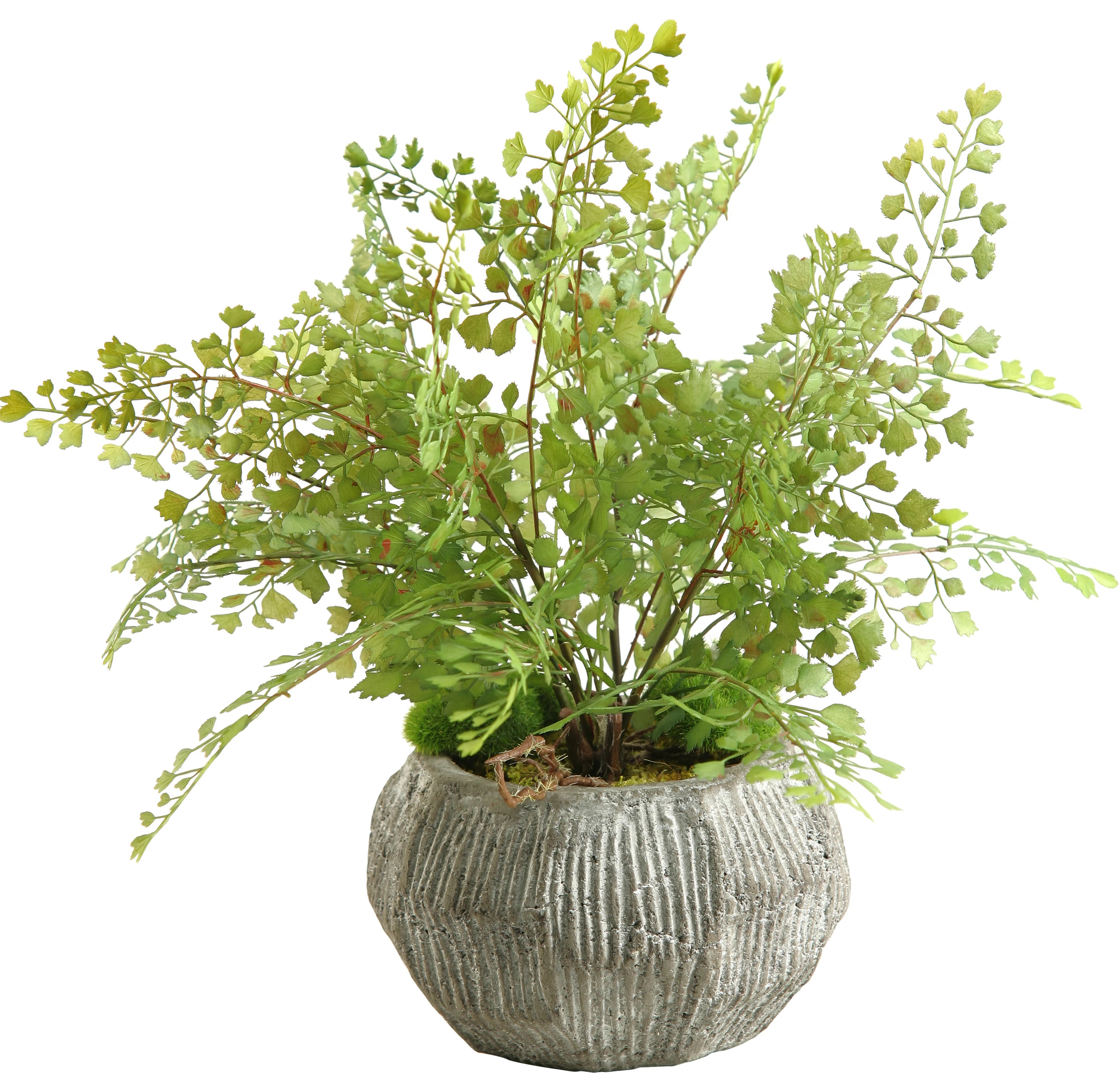 Yoshida Artificial Fern Plant in Planter | Wayfair North America