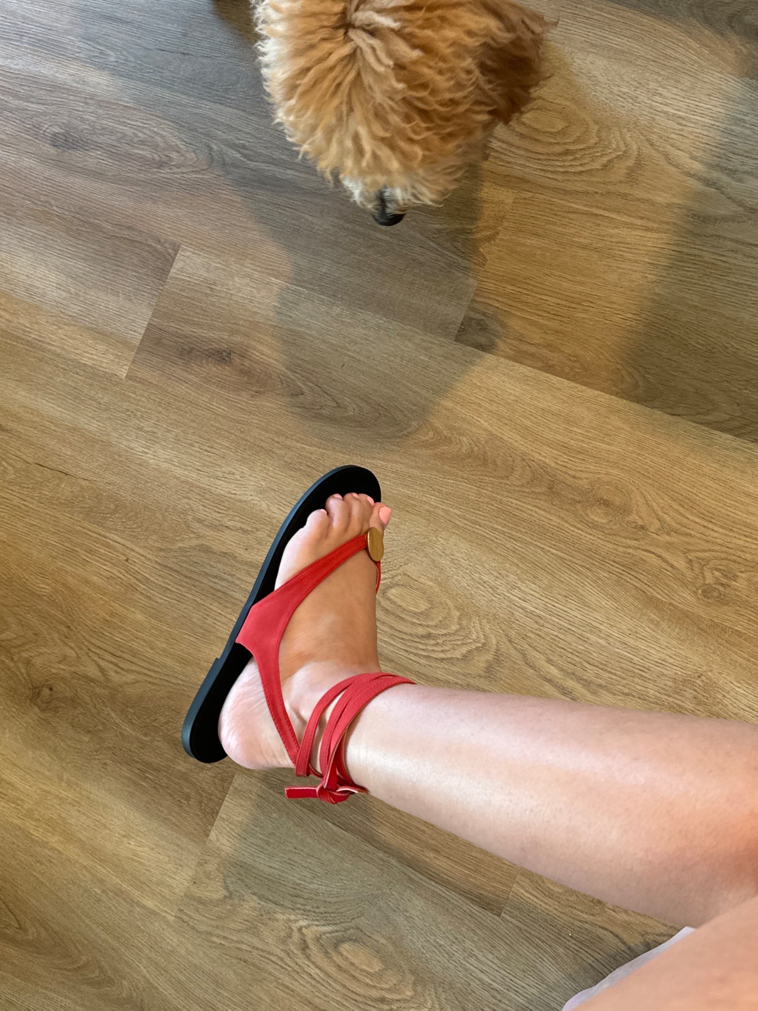 Favorite sandals under $25!! Such a great shein find and run TTS

#LTKSpringSale