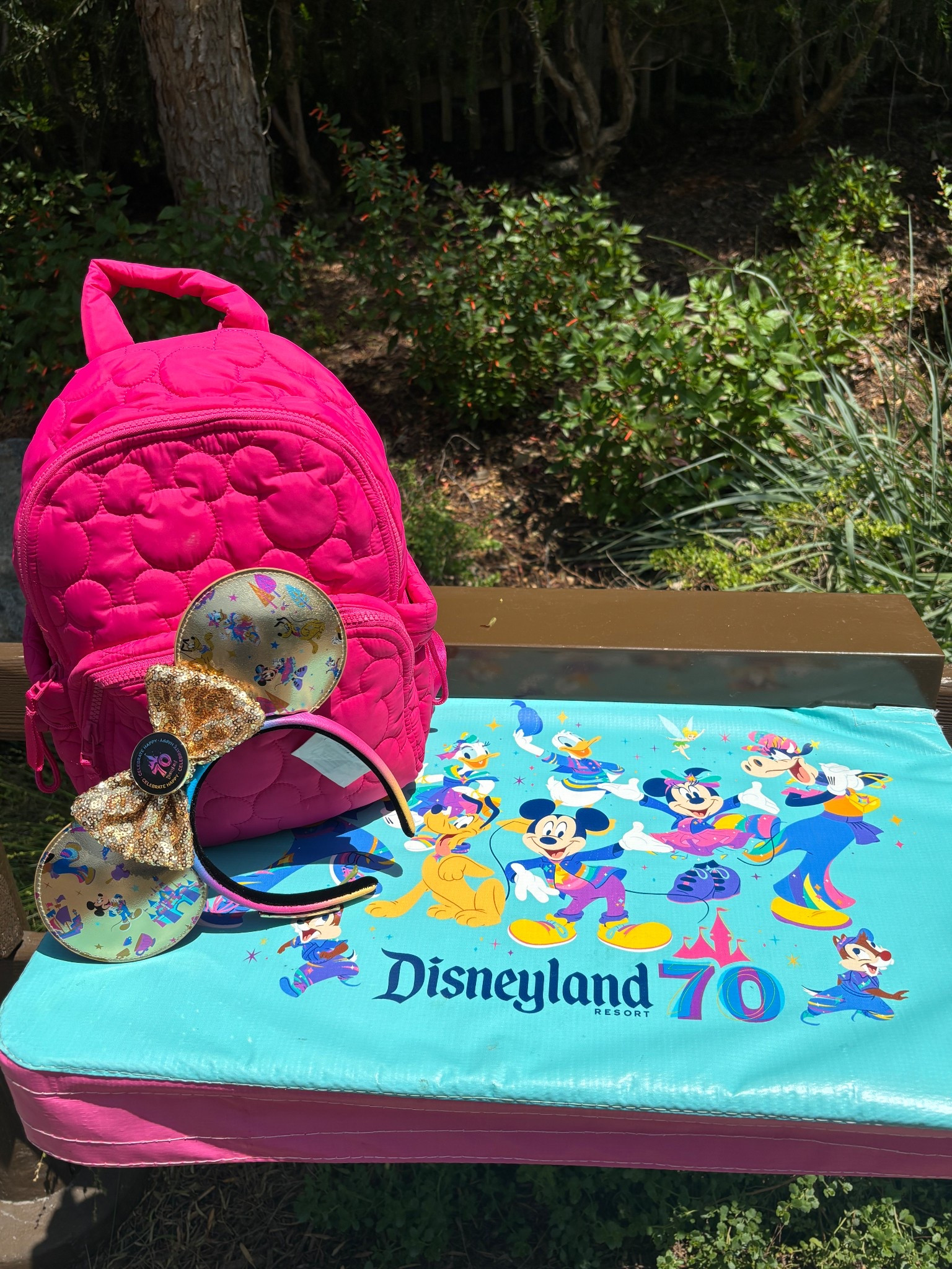Disneyland 70th Anniversary Accessories! I loved wearing these Minnie Mouse ears and Vera Bradley Mickey backpack to the park! 

#LTKItBag #LTKTravel #LTKFindsUnder50