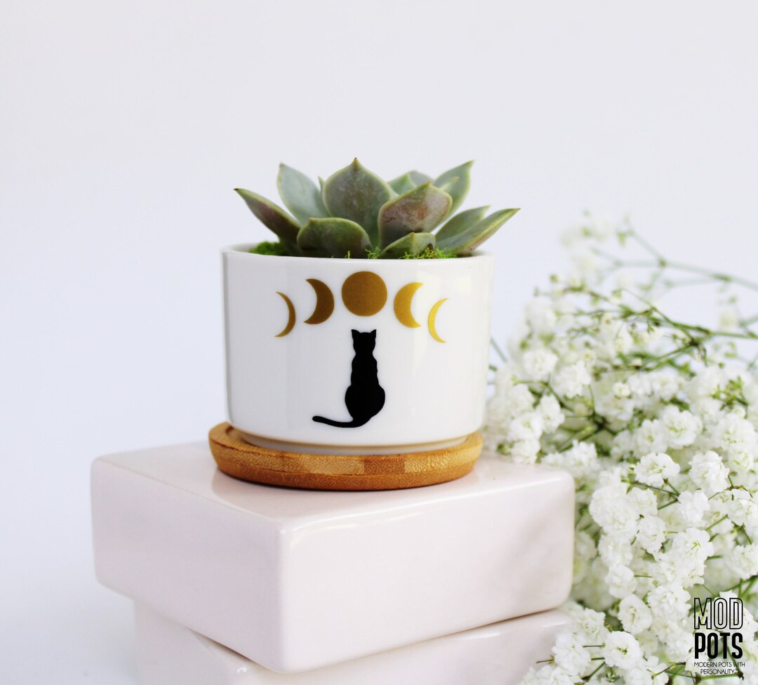 Cat With Moon Phases Celestial Cat Witchy Vibes Witch Moon Phases Cat Lover Witchy Gifts Celestia... | Etsy (US)