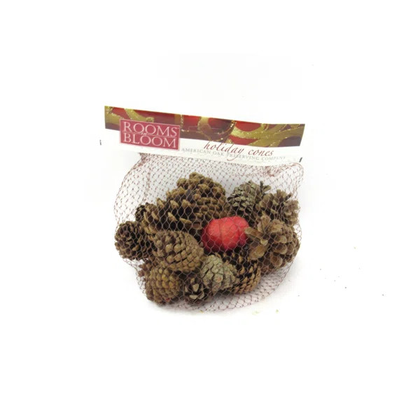 Cinnamon Scented Pine Cone (Set of 18) | Wayfair North America